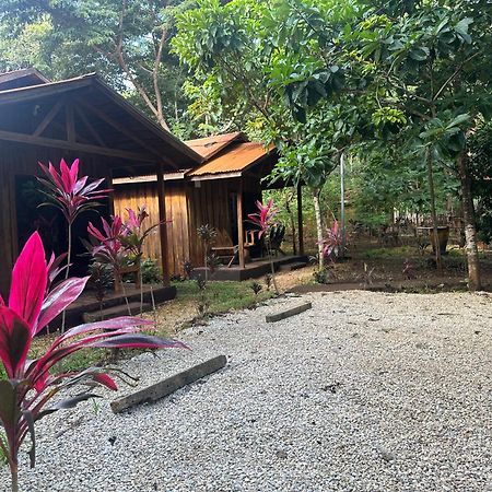Finca Avellanas Lorena المظهر الخارجي الصورة