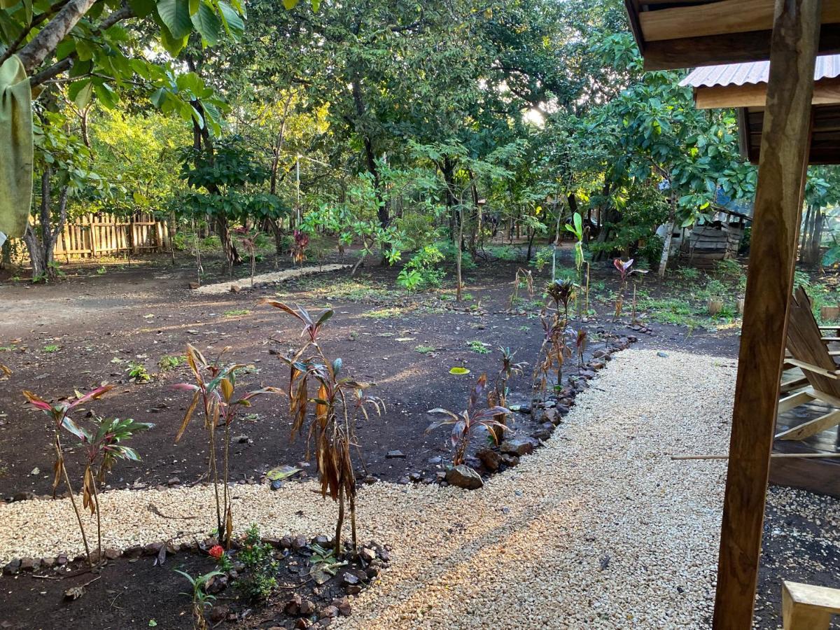 Finca Avellanas Lorena المظهر الخارجي الصورة