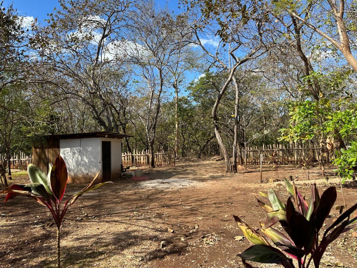 Finca Avellanas Lorena المظهر الخارجي الصورة
