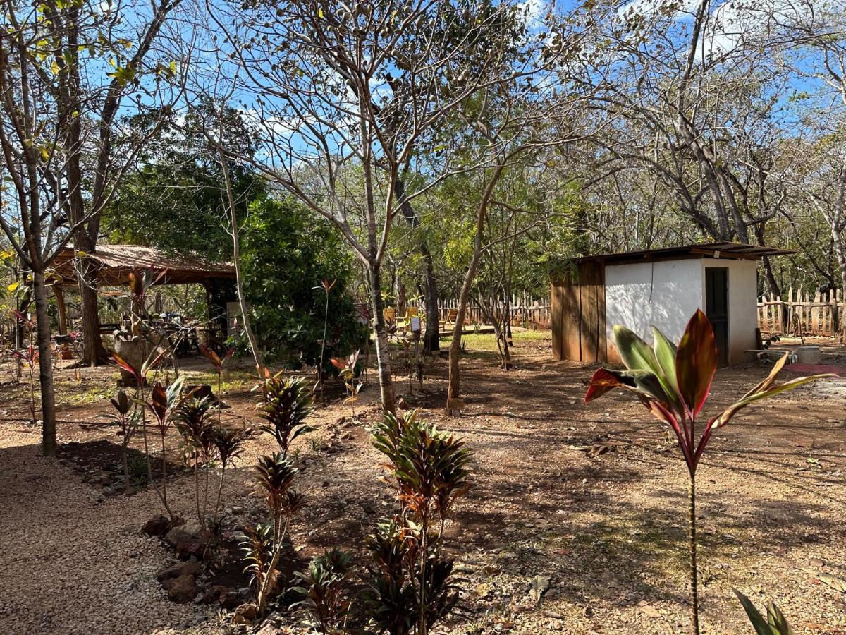 Finca Avellanas Lorena المظهر الخارجي الصورة