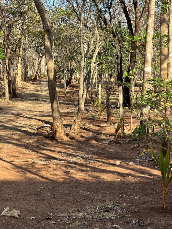 Finca Avellanas Lorena المظهر الخارجي الصورة