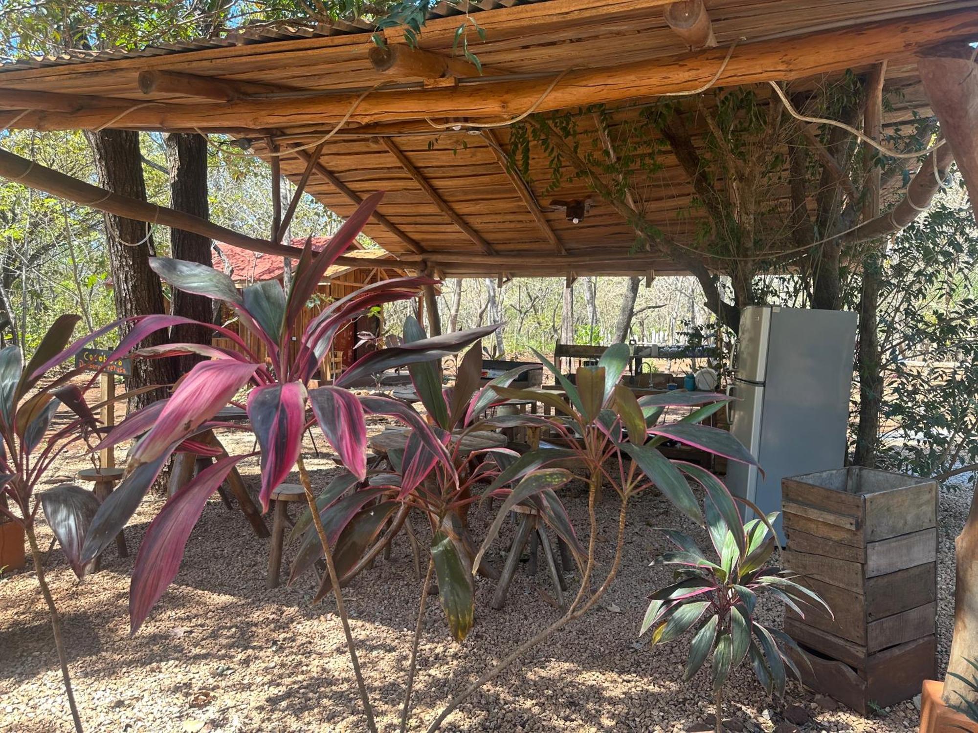 Finca Avellanas Lorena المظهر الخارجي الصورة