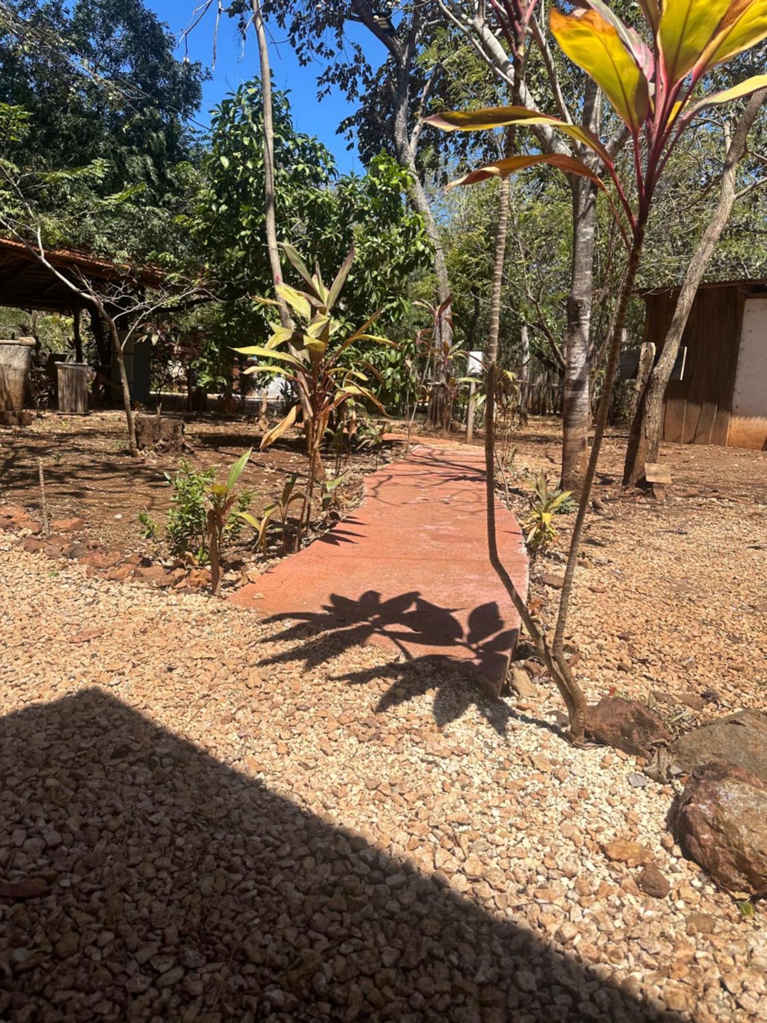 Finca Avellanas Lorena المظهر الخارجي الصورة