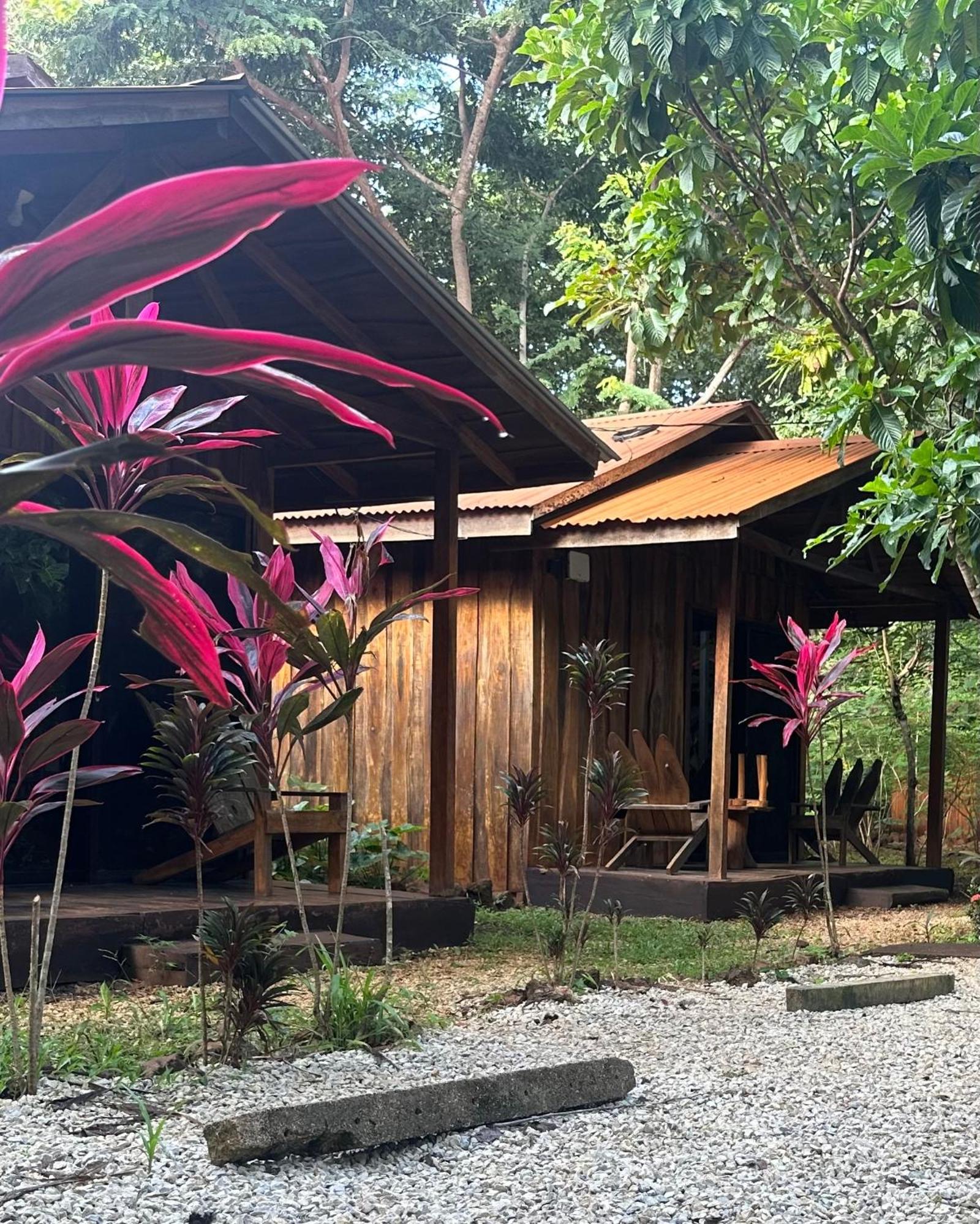 Finca Avellanas Lorena المظهر الخارجي الصورة