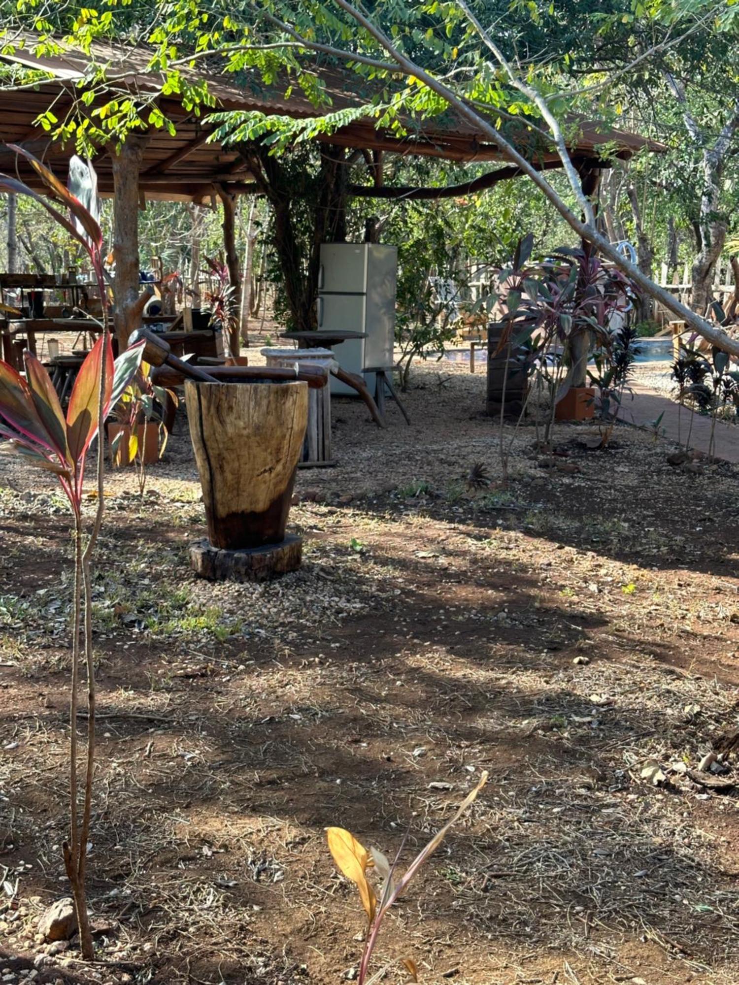 Finca Avellanas Lorena المظهر الخارجي الصورة