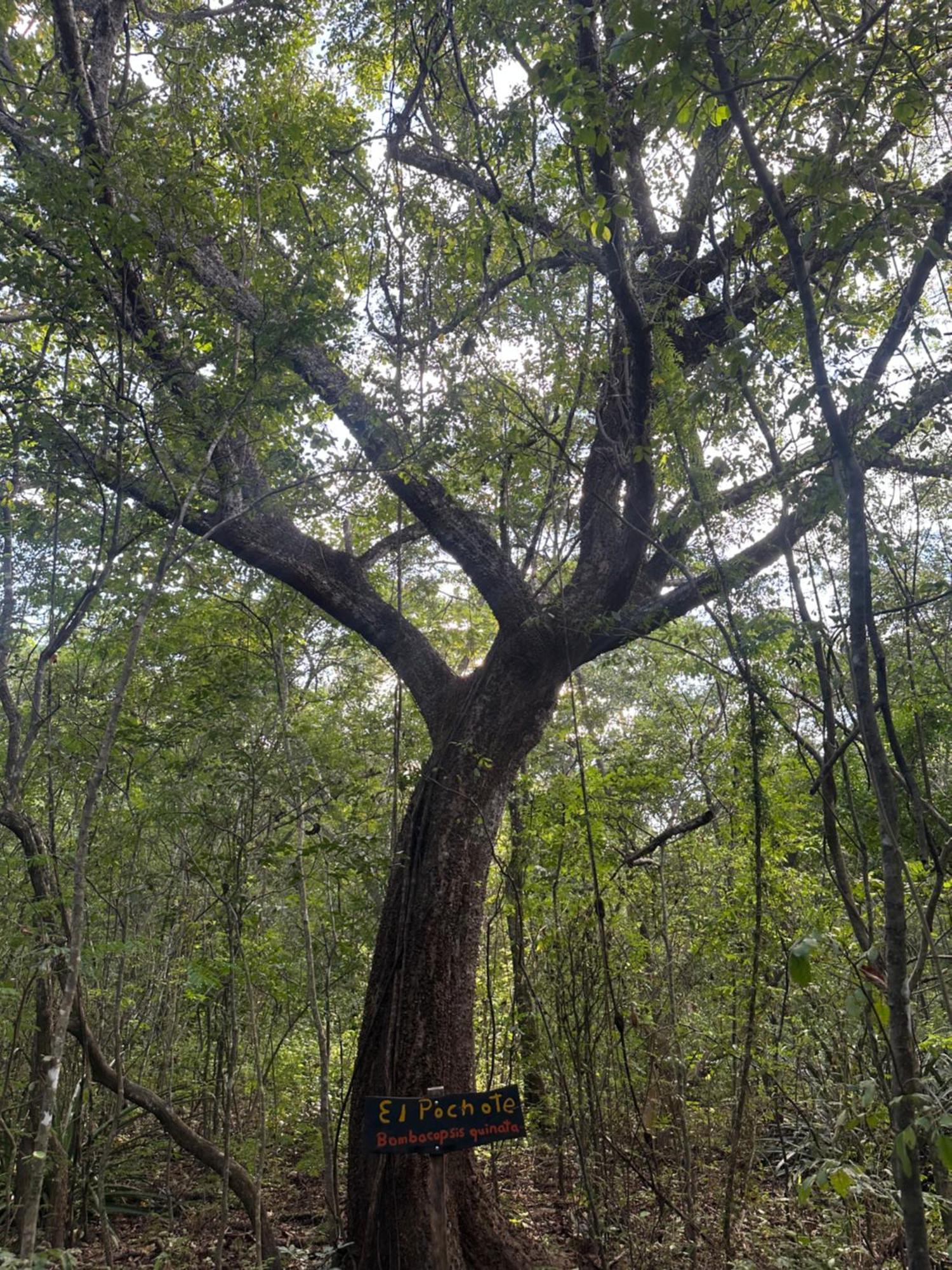 Finca Avellanas Lorena المظهر الخارجي الصورة