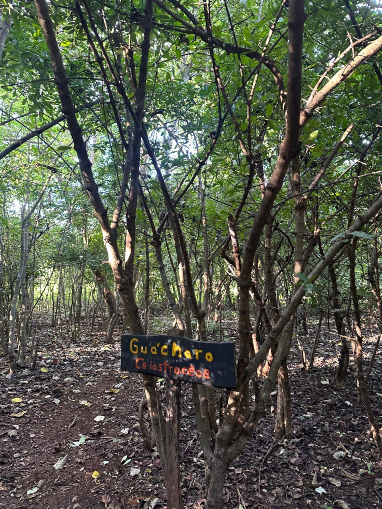 Finca Avellanas Lorena المظهر الخارجي الصورة